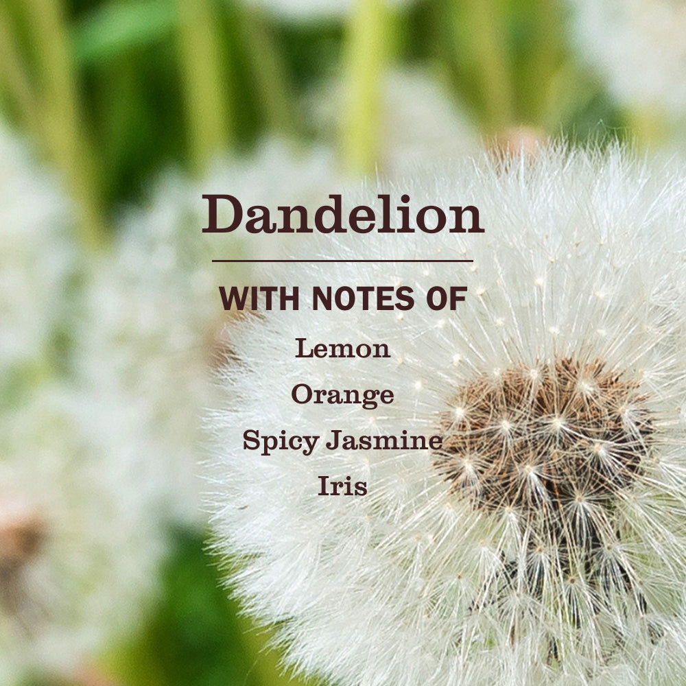 Dandelion Plug In Scented Oil Warmer With Refill - Image 6