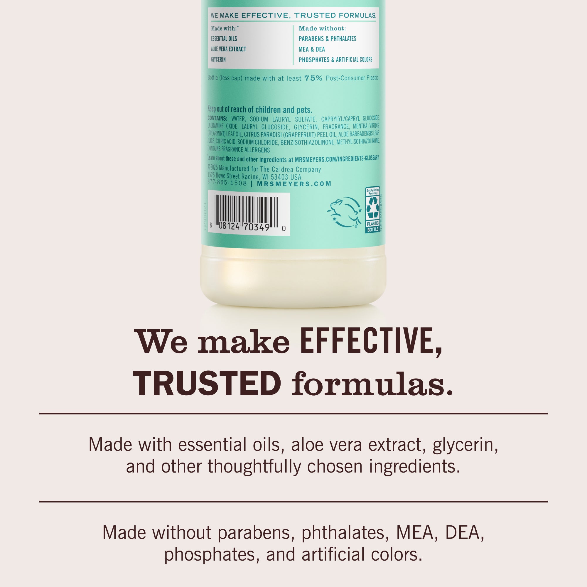 Mint Dish Soap - Image 6