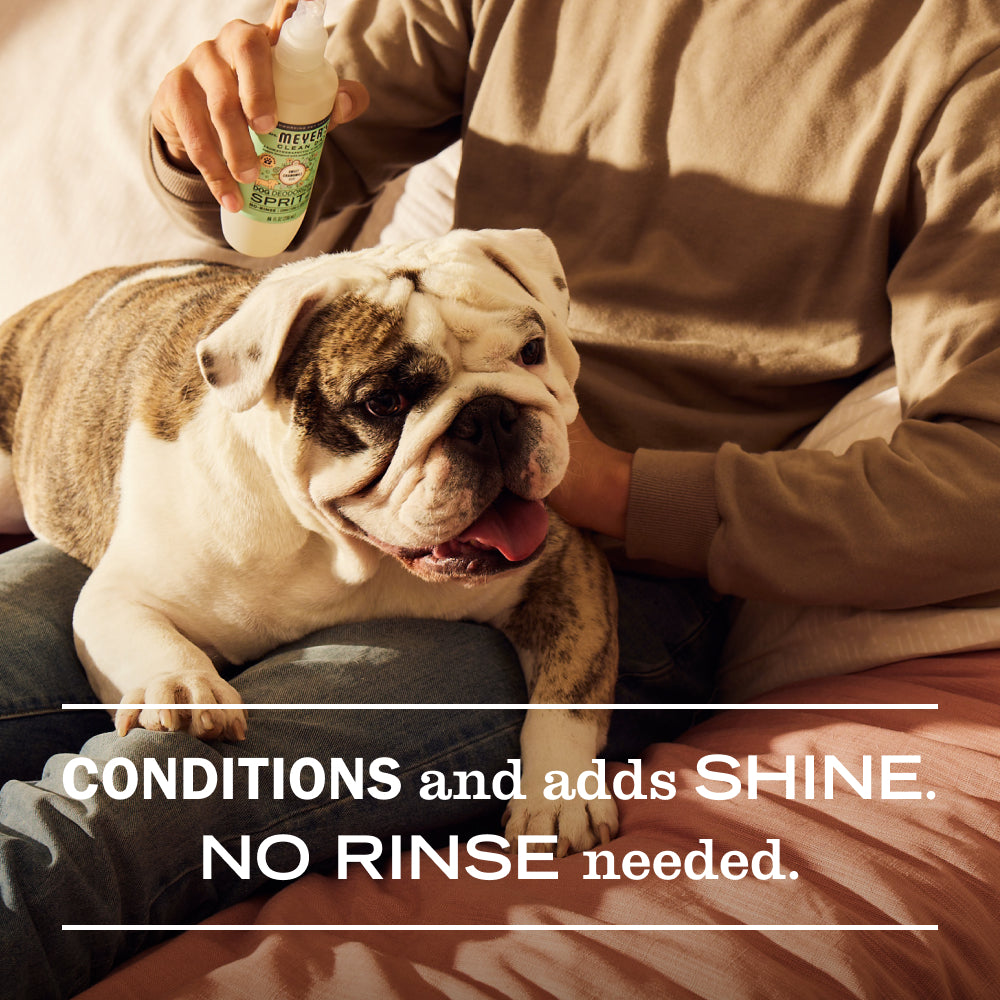 Sweet Chamomile Dog Deodorizing Spritz - Image 4