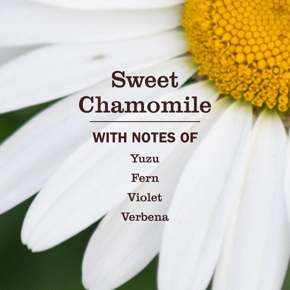 Sweet Chamomile Dog Deodorizing Spritz - Image 3