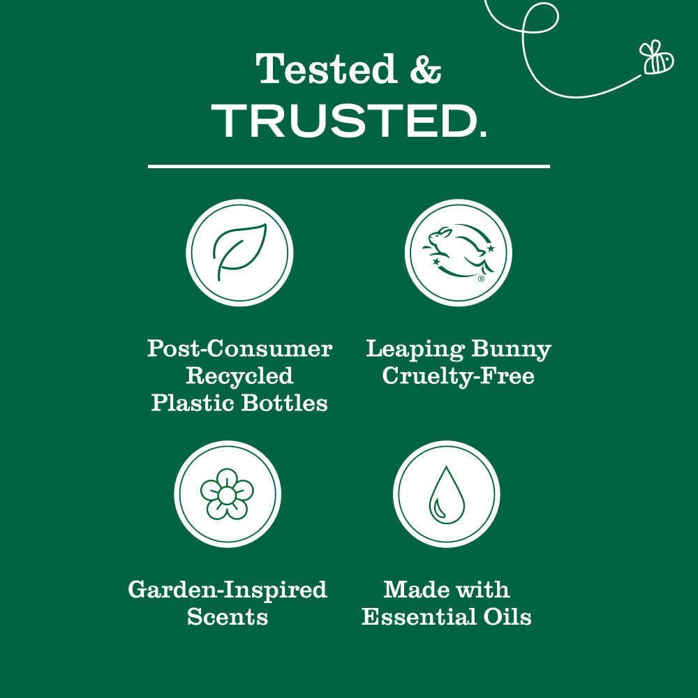 Elderberry Multi-Surface Everyday Cleaner - Image 7