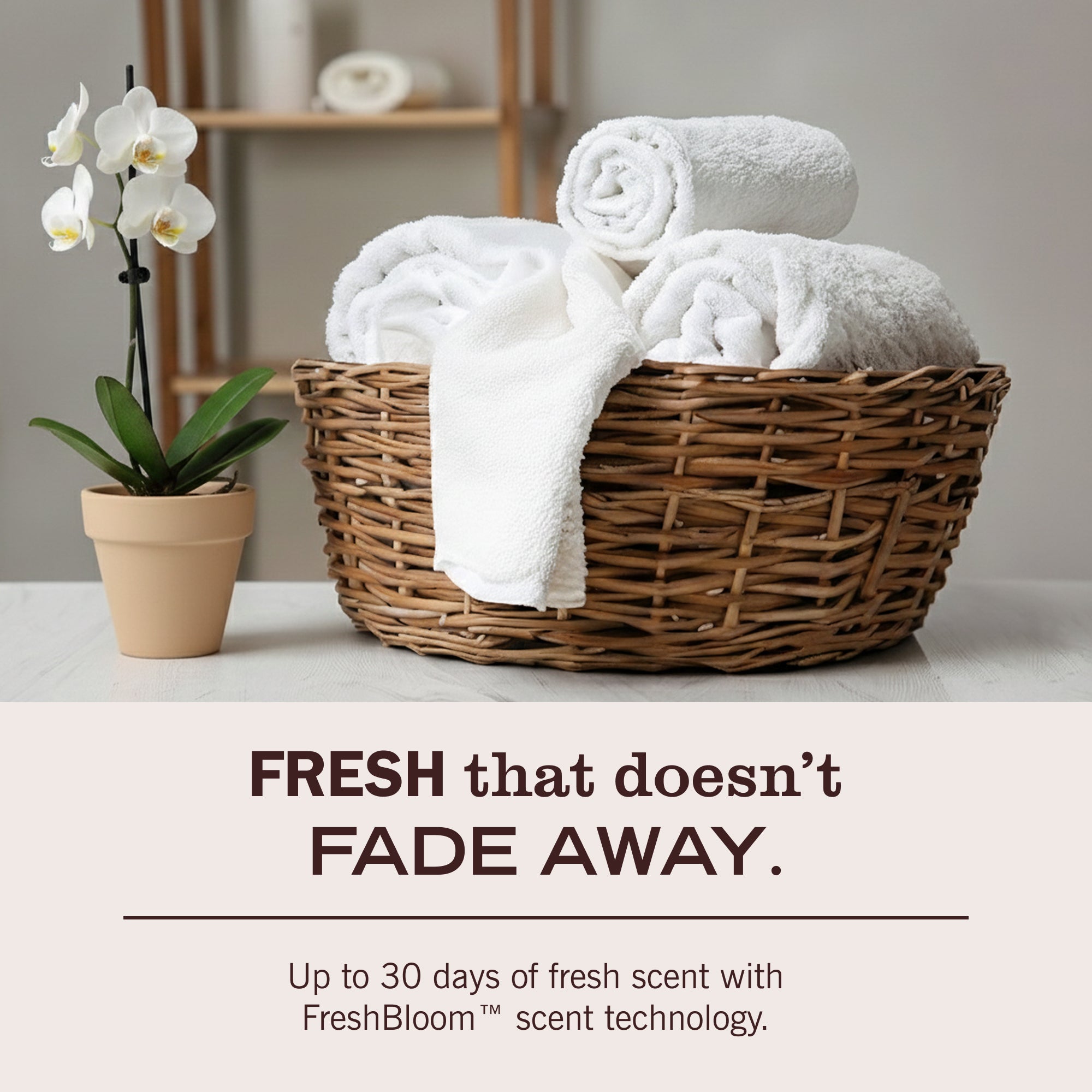 Baby Blossom Laundry Detergent - Image 6