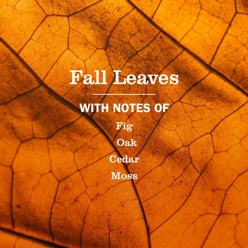 Fall Leaves Liquid Hand Soap - Image 4