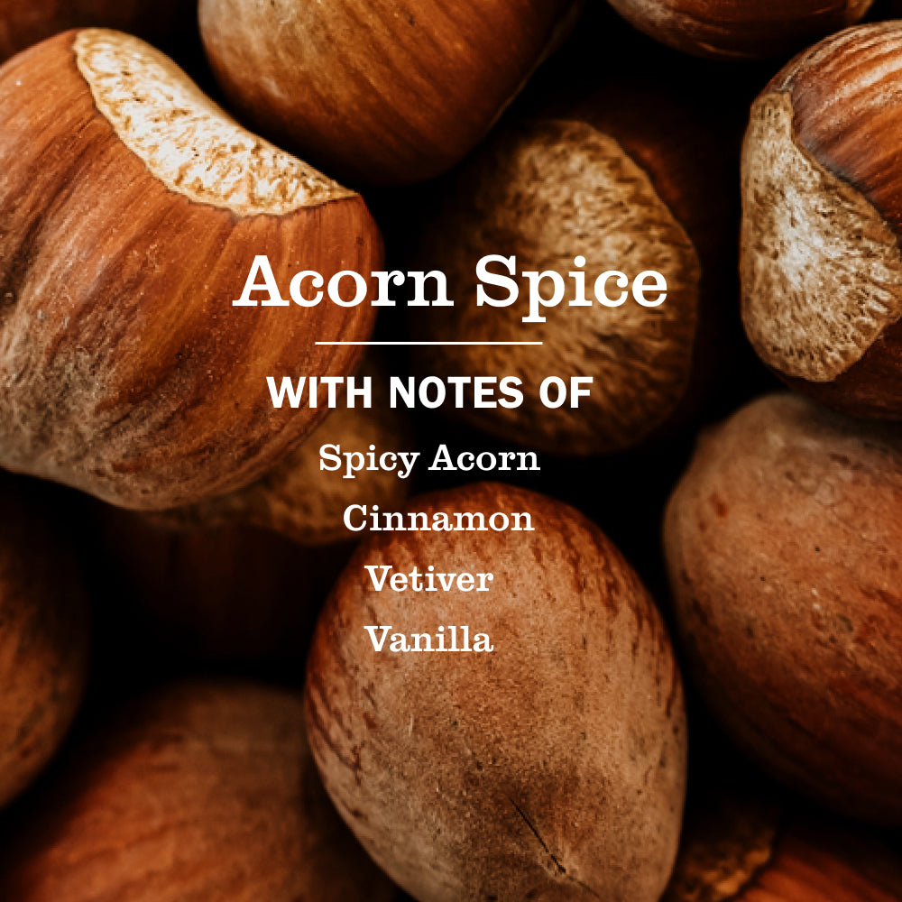 Acorn Spice Dish Soap 3-count Bundle - Image 4