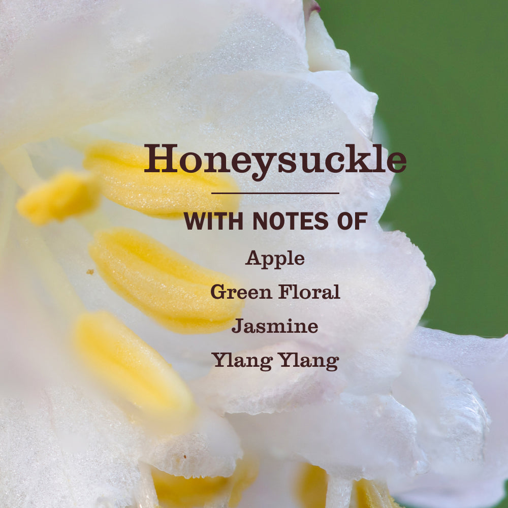 Honeysuckle Liquid Hand Soap - Image 4