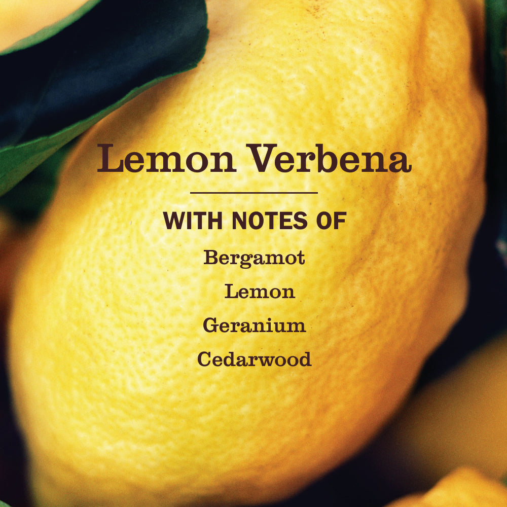 Lemon Verbena Probiotic Daily Shower Spray - Image 3