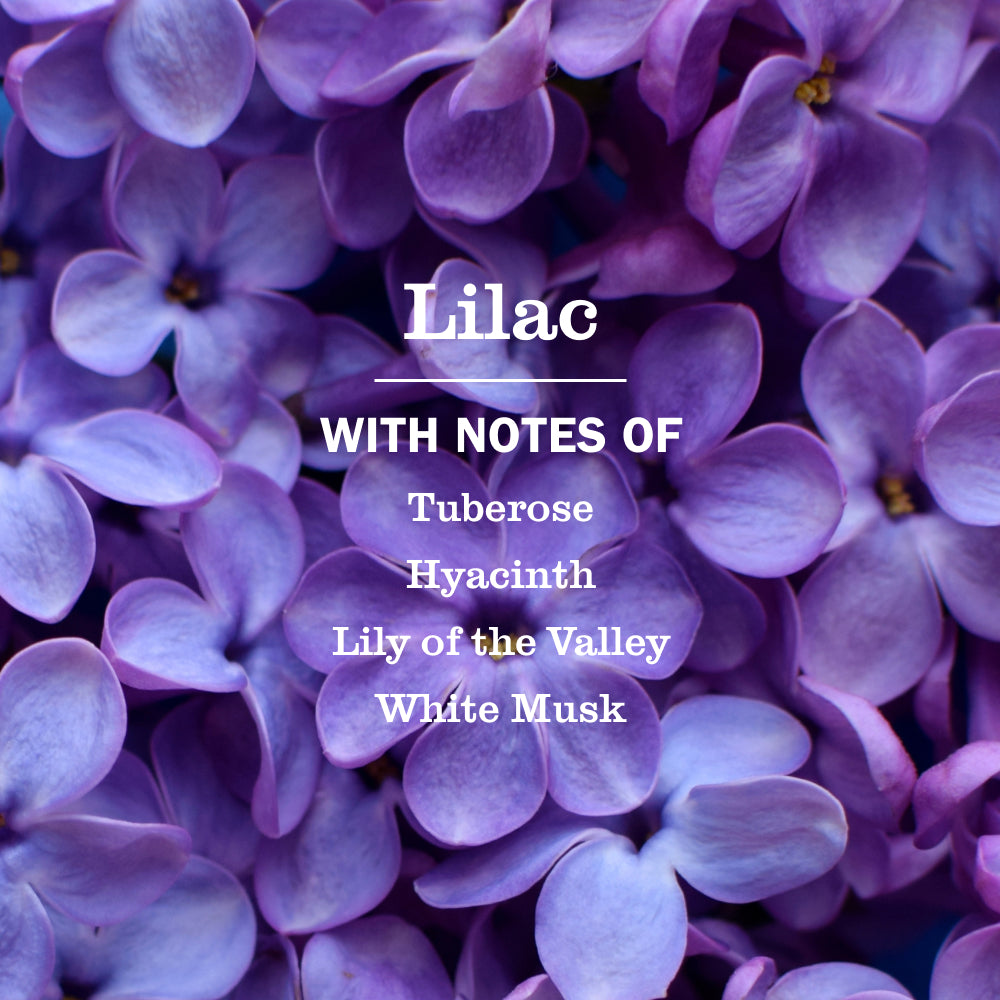 Lilac Multi-Surface Everyday Cleaner - Image 4