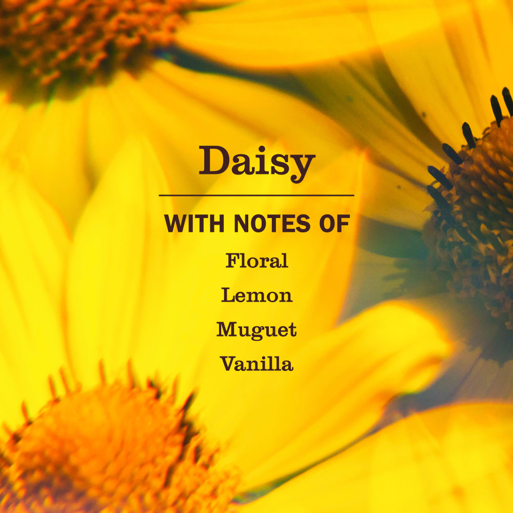Daisy Dish Soap 3-count Bundle - Image 4
