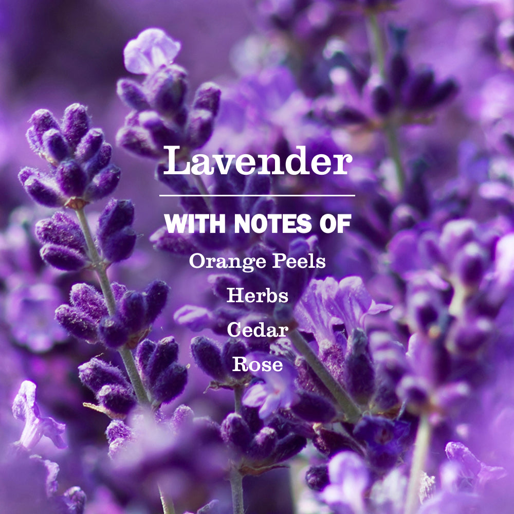 Lavender Multi-Surface Concentrate - Image 4