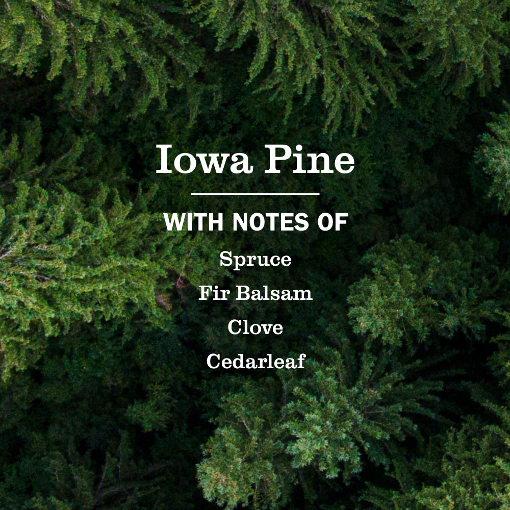 Iowa Pine Room Freshener - Image 4