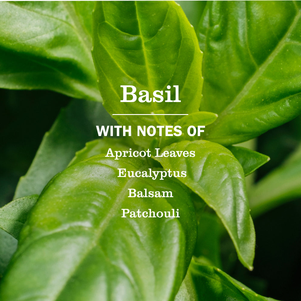 Basil Multi-Surface Everyday Cleaner - Image 4