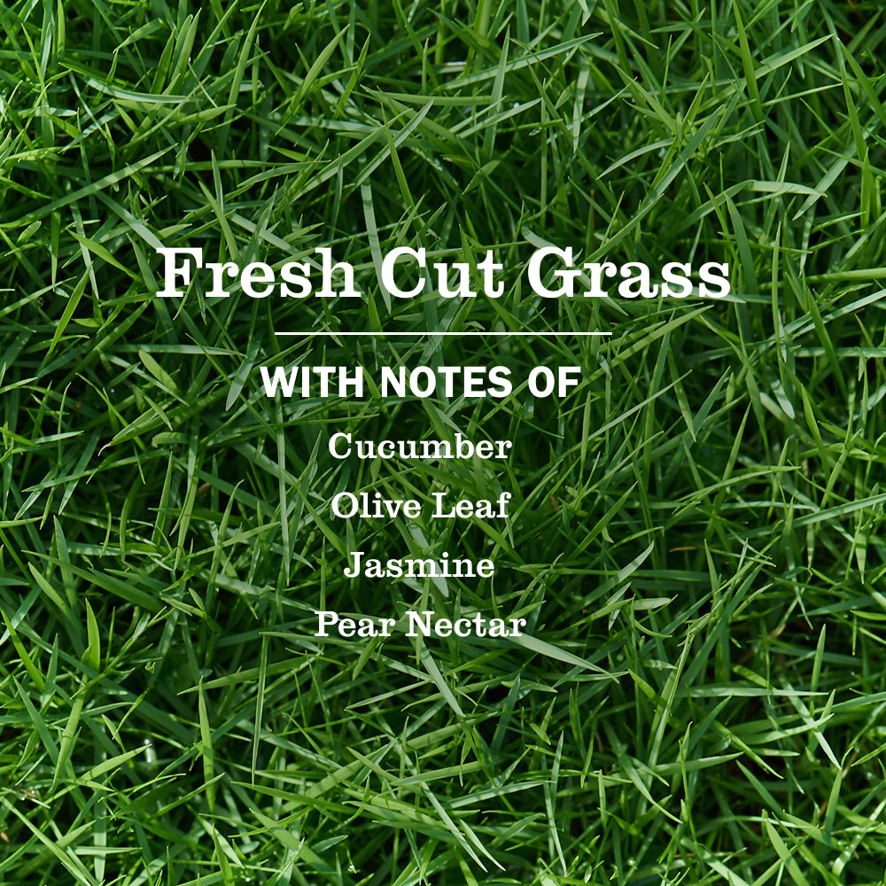 Fresh Cut Grass Dish Soap 3-count Bundle - Image 3