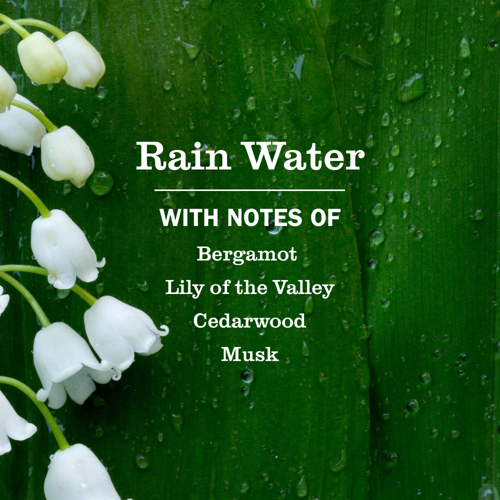 Rain Water Multi-Surface Concentrate - Image 4