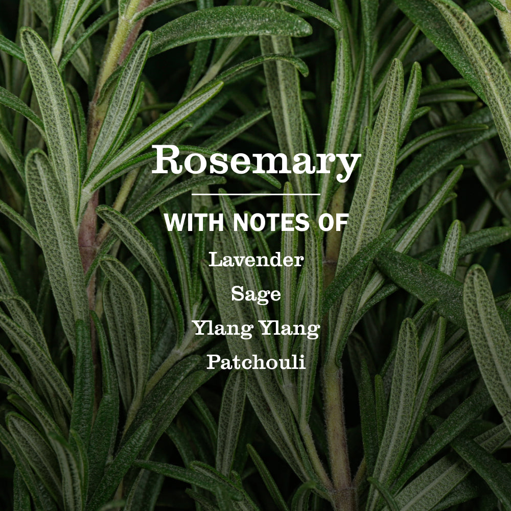 Rosemary Liquid Hand Soap - Image 4